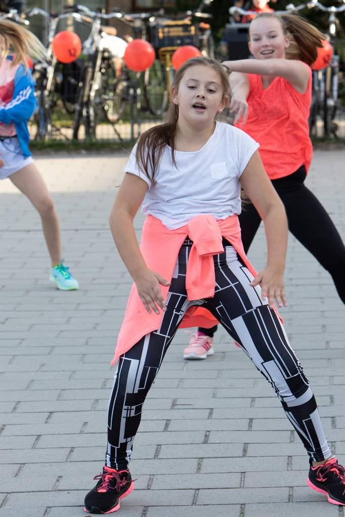 Schoolplein Festival A191.jpg